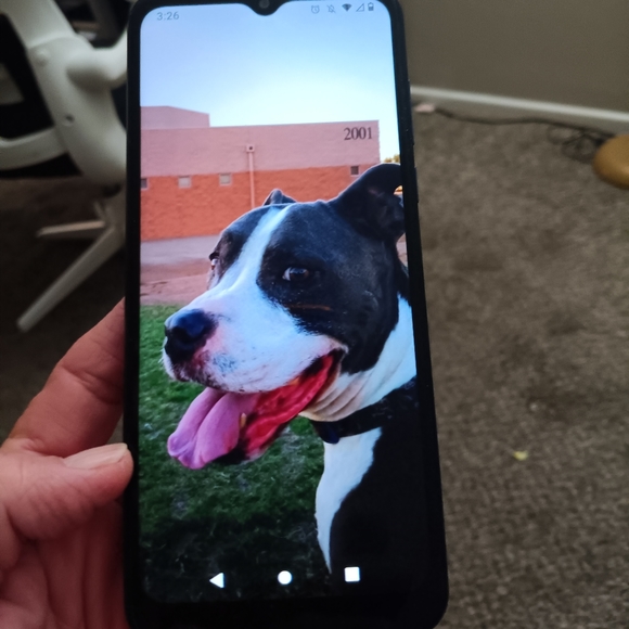 Android 12 moto g pure